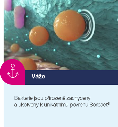 Vaze